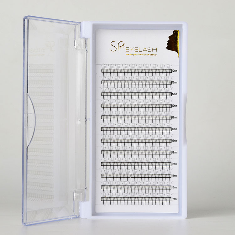 वेगवान, फुलर आणि दीर्घकाळ टिकणाऱ्या लॅश विस्तारांसाठी प्रोमेड पॉइंटी फॅन्स कसे निवडायचे?